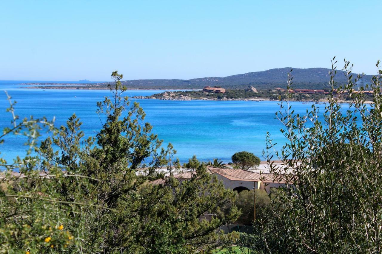 ポルト・ロトンド Casa Vacanze Il Cisto - Golfo Di Marinellaヴィラ エクステリア 写真