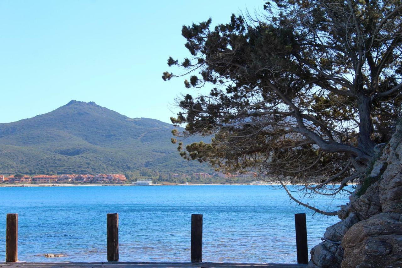 ポルト・ロトンド Casa Vacanze Il Cisto - Golfo Di Marinellaヴィラ エクステリア 写真